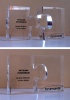 TROPHEE "PUZZLE" - PLEXI © alain guillotin