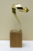 TROPHEE CHEVAL - LAITON © alain guillotin
